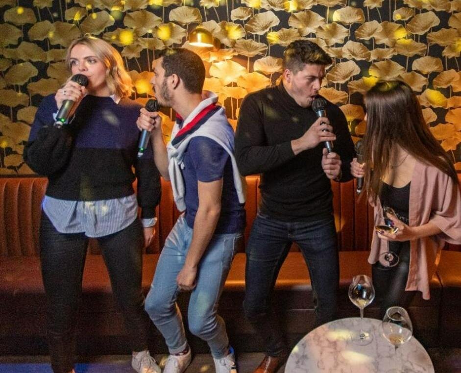 karaoke for a new year party in Reims